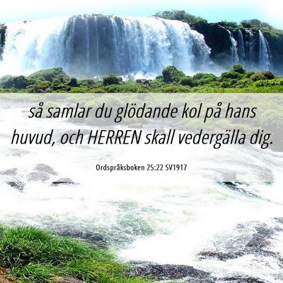 Picture 06 - Ordspråksboken 25:22 SV1917 - så samlar du glödande kol på hans huvud, och - Bible Verse Picture