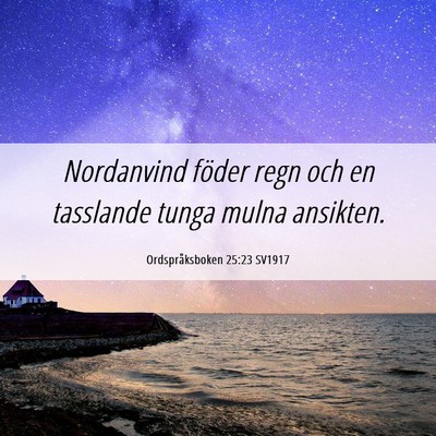 Picture 06 - Ordspråksboken 25:23 SV1917 - Nordanvind föder regn och en tasslande tunga - Bible Verse Picture
