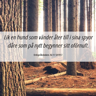 Picture 06 - Ordspråksboken 26:11 SV1917 - Lik en hund som vänder åter till i sina spyor - Bible Verse Picture