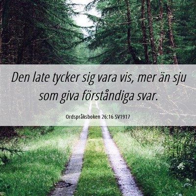 Picture 06 - Ordspråksboken 26:16 SV1917 - Den late tycker sig vara vis, mer än sju som - Bible Verse Picture