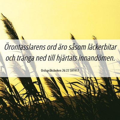 Picture 06 - Ordspråksboken 26:22 SV1917 - Örontasslarens ord äro såsom läckerbitar och - Bible Verse Picture