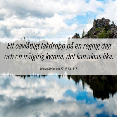 Picture 06 - Ordspråksboken 27:15 SV1917 - Ett oavlåtligt takdropp på en regnig dag och en - Bible Verse Picture