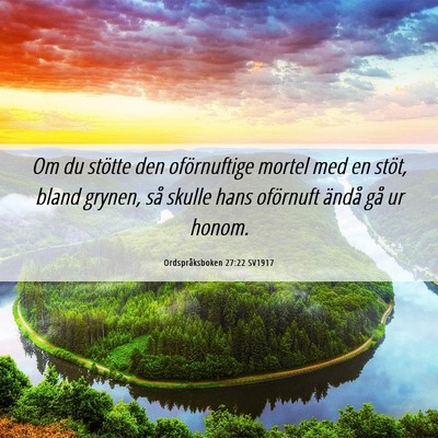 Picture 06 - Ordspråksboken 27:22 SV1917 - Om du stötte den oförnuftige mortel med en - Bible Verse Picture