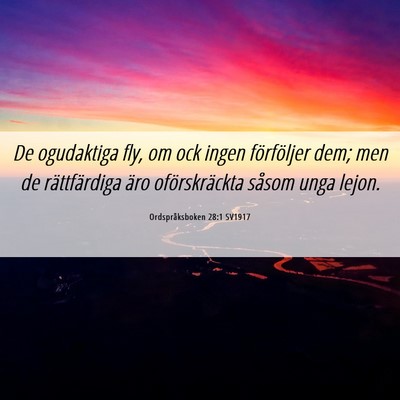 Picture 06 - Ordspråksboken 28:1 SV1917 - De ogudaktiga fly, om ock ingen förföljer dem; - Bible Verse Picture