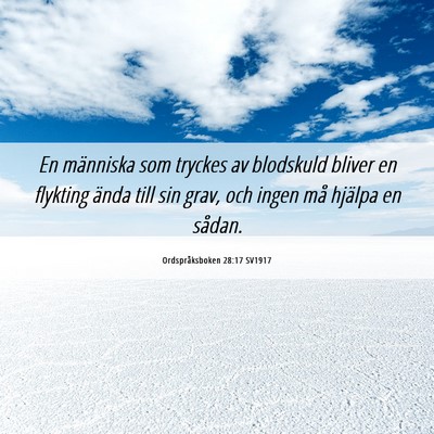 Picture 06 - Ordspråksboken 28:17 SV1917 - En människa som tryckes av blodskuld bliver en - Bible Verse Picture