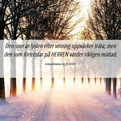 Picture 06 - Ordspråksboken 28:25 SV1917 - Den som är lysten efter vinning uppväcker - Bible Verse Picture
