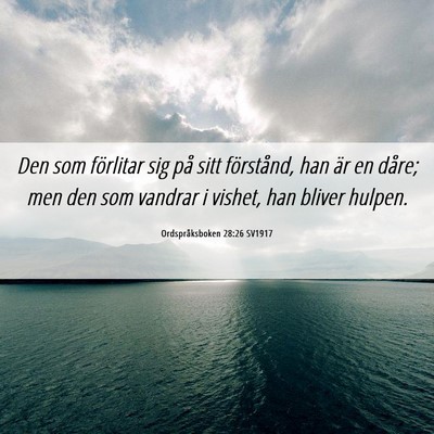 Picture 06 - Ordspråksboken 28:26 SV1917 - Den som förlitar sig på sitt förstånd, han - Bible Verse Picture