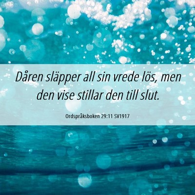 Picture 06 - Ordspråksboken 29:11 SV1917 - Dåren släpper all sin vrede lös, men den vise - Bible Verse Picture