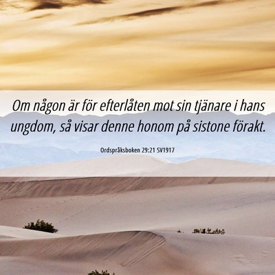 Picture 06 - Ordspråksboken 29:21 SV1917 - Om någon är för efterlåten mot sin tjänare i - Bible Verse Picture