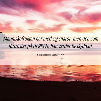 Picture 06 - Ordspråksboken 29:25 SV1917 - Människofruktan har med sig snaror, men den som - Bible Verse Picture
