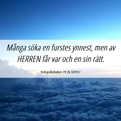 Picture 06 - Ordspråksboken 29:26 SV1917 - Många söka en furstes ynnest, men av HERREN - Bible Verse Picture