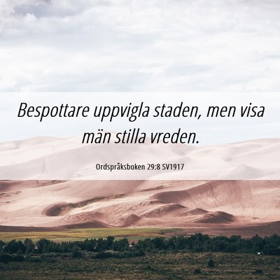Picture 06 - Ordspråksboken 29:8 SV1917 - Bespottare uppvigla staden, men visa män stilla - Bible Verse Picture