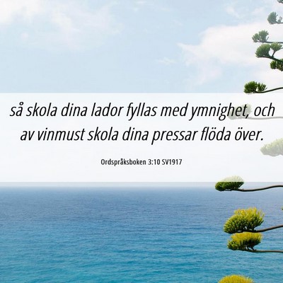 Picture 06 - Ordspråksboken 3:10 SV1917 - så skola dina lador fyllas med ymnighet, och av - Bible Verse Picture