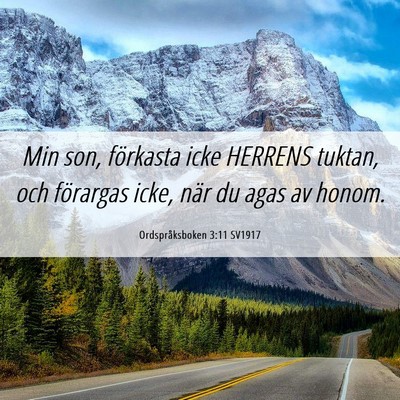 Picture 06 - Ordspråksboken 3:11 SV1917 - Min son, förkasta icke HERRENS tuktan, och - Bible Verse Picture