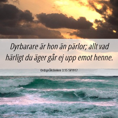 Picture 06 - Ordspråksboken 3:15 SV1917 - Dyrbarare är hon än pärlor; allt vad härligt - Bible Verse Picture