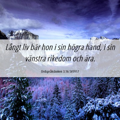 Picture 06 - Ordspråksboken 3:16 SV1917 - Långt liv bär hon i sin högra hand, i sin - Bible Verse Picture