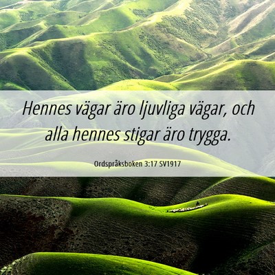 Picture 06 - Ordspråksboken 3:17 SV1917 - Hennes vägar äro ljuvliga vägar, och alla - Bible Verse Picture
