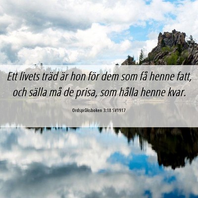 Picture 06 - Ordspråksboken 3:18 SV1917 - Ett livets träd är hon för dem som få henne - Bible Verse Picture