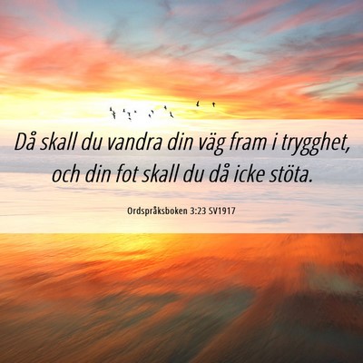 Picture 06 - Ordspråksboken 3:23 SV1917 - Då skall du vandra din väg fram i trygghet, och - Bible Verse Picture