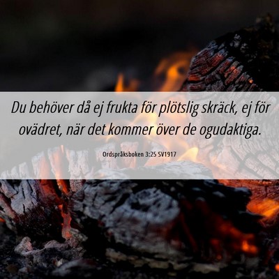 Picture 06 - Ordspråksboken 3:25 SV1917 - Du behöver då ej frukta för plötslig skräck, - Bible Verse Picture
