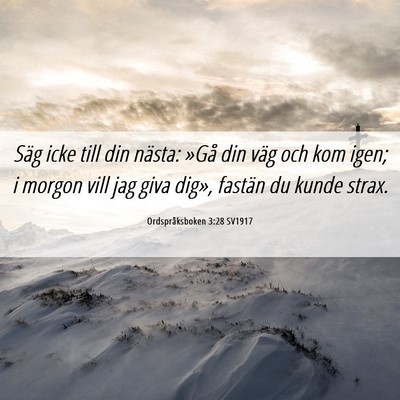 Picture 06 - Ordspråksboken 3:28 SV1917 - Säg icke till din nästa: »Gå din väg och kom - Bible Verse Picture