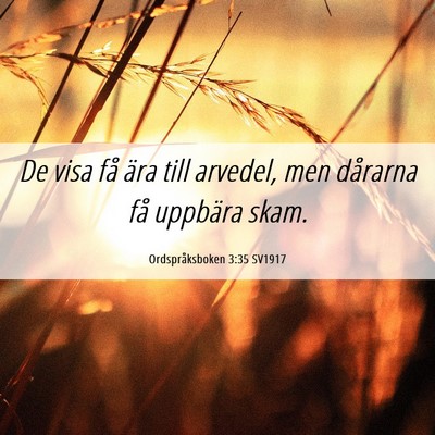Picture 06 - Ordspråksboken 3:35 SV1917 - De visa få ära till arvedel, men dårarna få - Bible Verse Picture