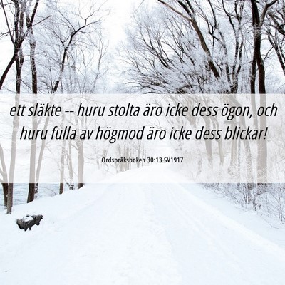 Picture 06 - Ordspråksboken 30:13 SV1917 - ett släkte -- huru stolta äro icke dess ögon, - Bible Verse Picture