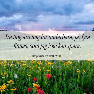 Picture 06 - Ordspråksboken 30:18 SV1917 - Tre ting äro mig för underbara, ja, fyra - Bible Verse Picture
