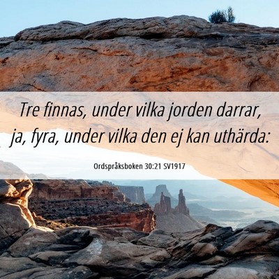 Picture 06 - Ordspråksboken 30:21 SV1917 - Tre finnas, under vilka jorden darrar, ja, fyra, - Bible Verse Picture