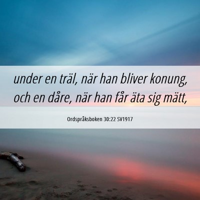 Picture 06 - Ordspråksboken 30:22 SV1917 - under en träl, när han bliver konung, och en - Bible Verse Picture