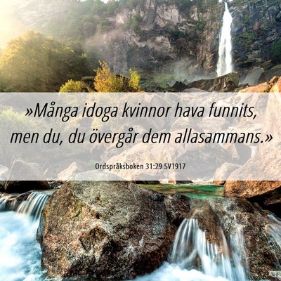 Picture 06 - Ordspråksboken 31:29 SV1917 - »Många idoga kvinnor hava funnits, men du, du - Bible Verse Picture