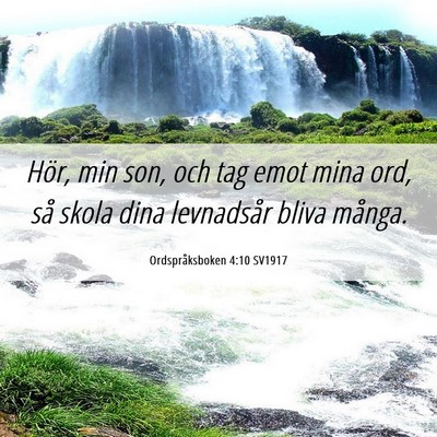 Picture 06 - Ordspråksboken 4:10 SV1917 - Hör, min son, och tag emot mina ord, så skola - Bible Verse Picture