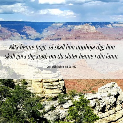 Picture 06 - Ordspråksboken 4:8 SV1917 - Akta henne högt, så skall hon upphöja dig; hon - Bible Verse Picture