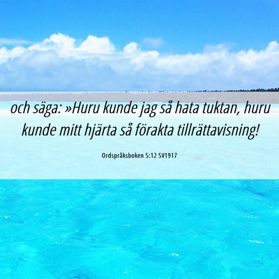 Picture 06 - Ordspråksboken 5:12 SV1917 - och säga: »Huru kunde jag så hata tuktan, huru - Bible Verse Picture