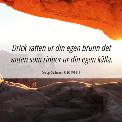 Picture 06 - Ordspråksboken 5:15 SV1917 - Drick vatten ur din egen brunn det vatten som - Bible Verse Picture