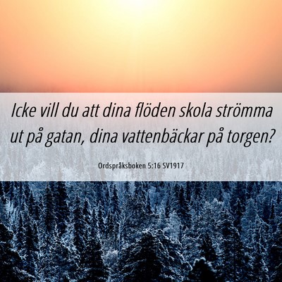 Picture 06 - Ordspråksboken 5:16 SV1917 - Icke vill du att dina flöden skola strömma ut - Bible Verse Picture