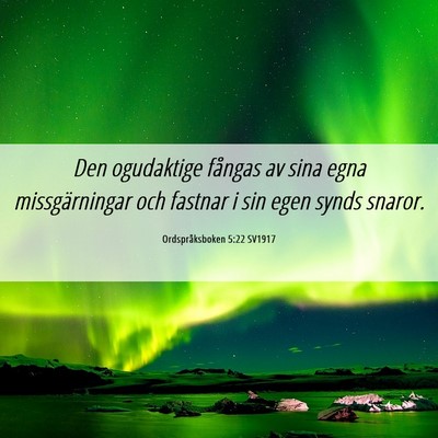 Picture 06 - Ordspråksboken 5:22 SV1917 - Den ogudaktige fångas av sina egna - Bible Verse Picture