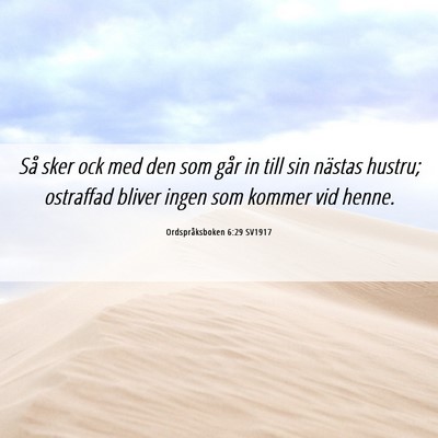 Picture 06 - Ordspråksboken 6:29 SV1917 - Så sker ock med den som går in till sin nästas - Bible Verse Picture