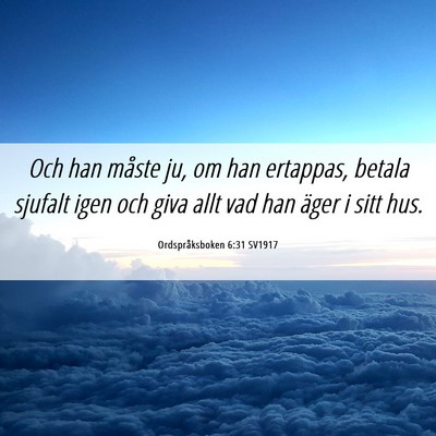 Picture 06 - Ordspråksboken 6:31 SV1917 - Och han måste ju, om han ertappas, betala - Bible Verse Picture