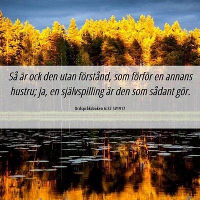 Picture 06 - Ordspråksboken 6:32 SV1917 - Så är ock den utan förstånd, som förför en - Bible Verse Picture