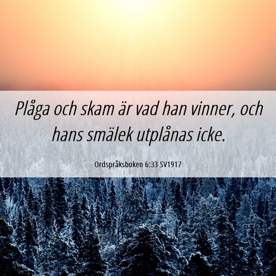 Picture 06 - Ordspråksboken 6:33 SV1917 - Plåga och skam är vad han vinner, och hans - Bible Verse Picture