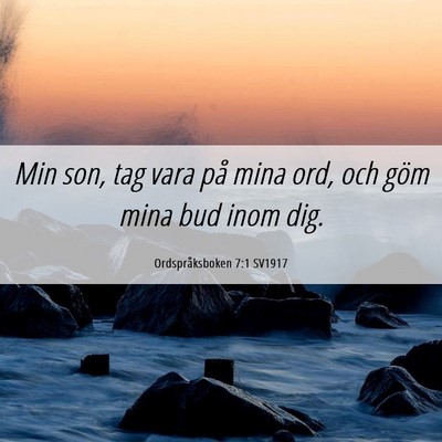 Picture 06 - Ordspråksboken 7:1 SV1917 - Min son, tag vara på mina ord, och göm mina bud - Bible Verse Picture