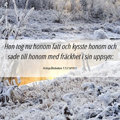 Picture 06 - Ordspråksboken 7:13 SV1917 - Hon tog nu honom fatt och kysste honom och sade - Bible Verse Picture