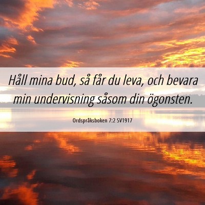 Picture 06 - Ordspråksboken 7:2 SV1917 - Håll mina bud, så får du leva, och bevara min - Bible Verse Picture