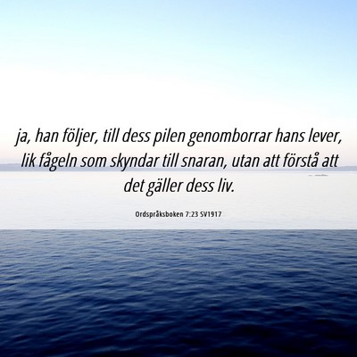 Picture 06 - Ordspråksboken 7:23 SV1917 - ja, han följer, till dess pilen genomborrar hans - Bible Verse Picture