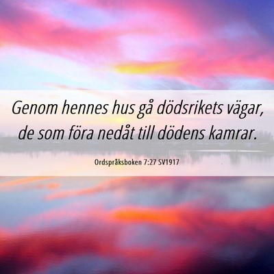 Picture 06 - Ordspråksboken 7:27 SV1917 - Genom hennes hus gå dödsrikets vägar, de som - Bible Verse Picture