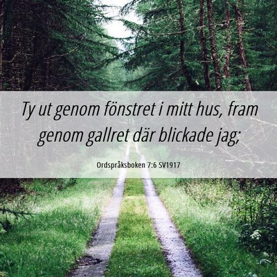Picture 06 - Ordspråksboken 7:6 SV1917 - Ty ut genom fönstret i mitt hus, fram genom - Bible Verse Picture