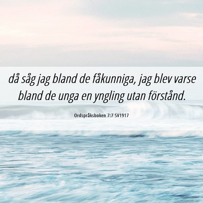 Picture 06 - Ordspråksboken 7:7 SV1917 - då såg jag bland de fåkunniga, jag blev varse - Bible Verse Picture