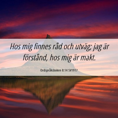 Picture 06 - Ordspråksboken 8:14 SV1917 - Hos mig finnes råd och utväg; jag är - Bible Verse Picture
