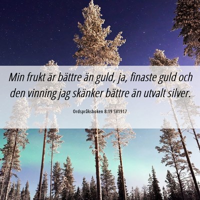 Picture 06 - Ordspråksboken 8:19 SV1917 - Min frukt är bättre än guld, ja, finaste guld - Bible Verse Picture